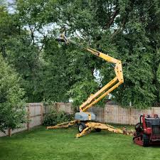 Best Pest Control for Lawns  in Newport News, VA
