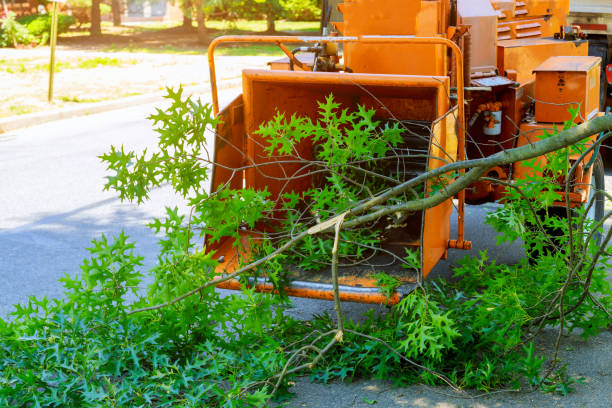 Best Soil Testing and Treatment  in Newport News, VA