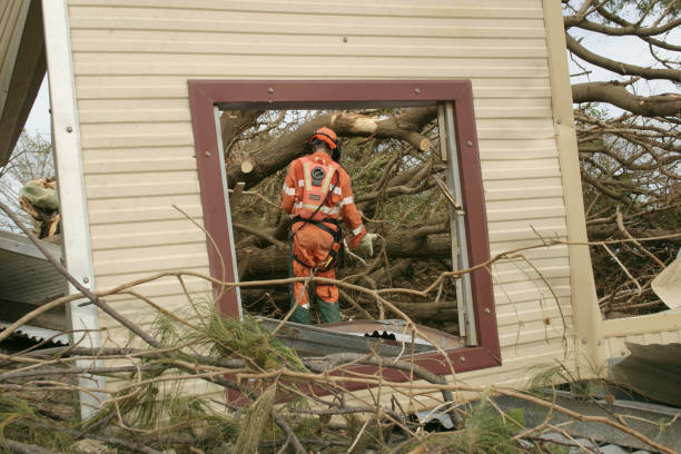 Best Root Management and Removal  in Newport News, VA